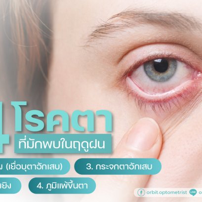 4 โครตาที่มักพบในฤดูฝน โดย ร้านแว่นตา Jackal x Orbit เชียงใหม่